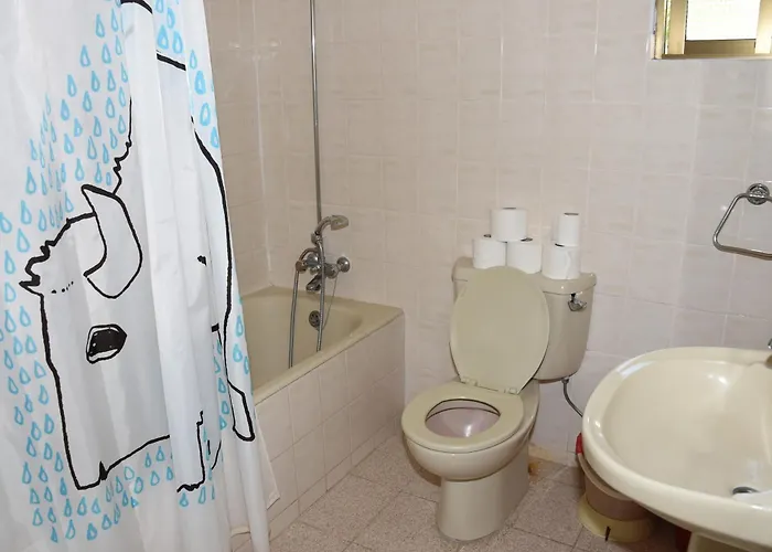 Odysseas & Eleni 4* Polis